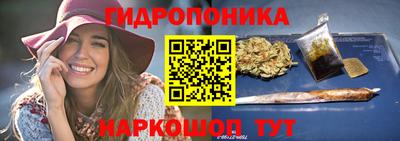 гашик Берёзовский