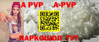 гашик Берёзовский